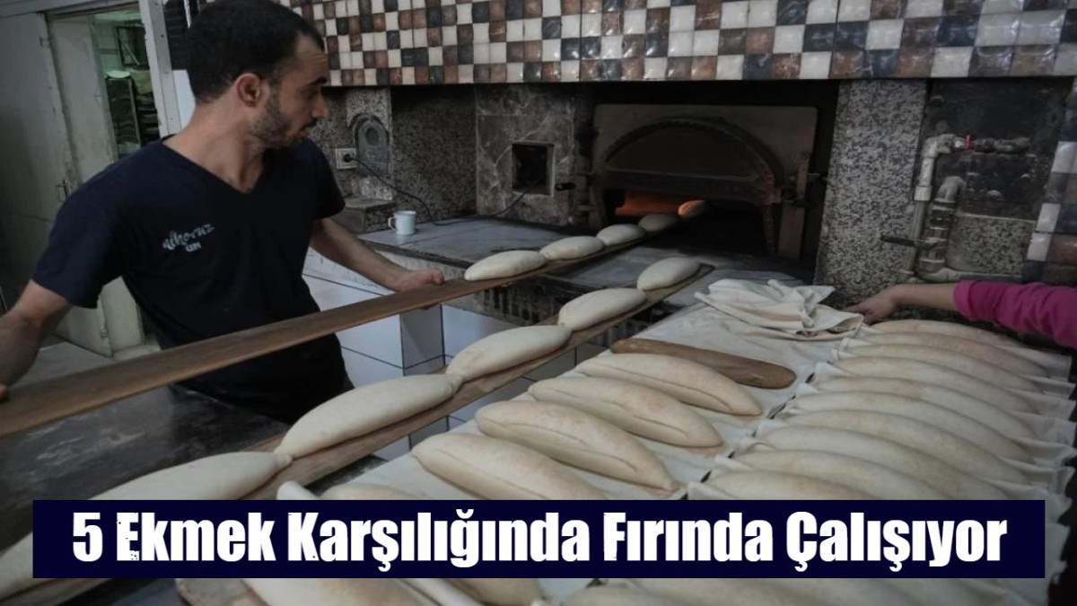 5 Ekmek Karşılığında Fırında Çalışıyor