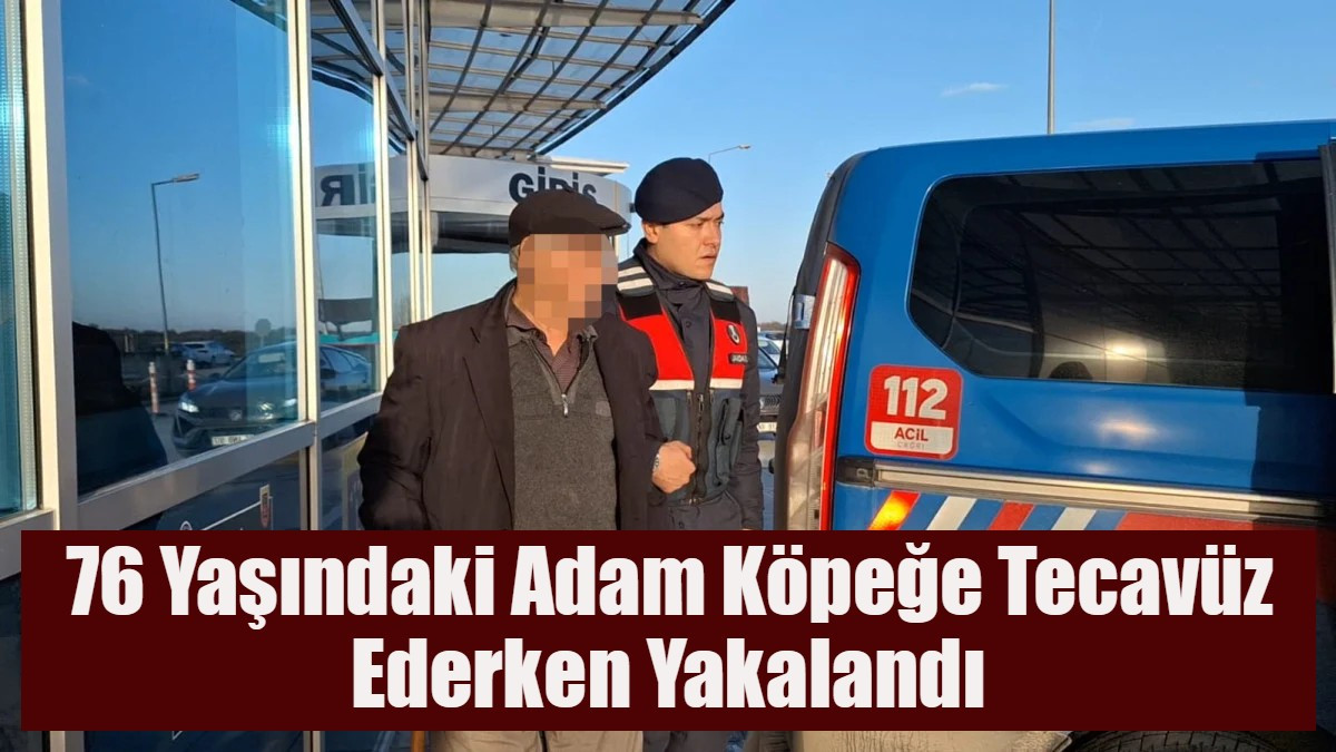 76 Yaşındaki Adam Köpeğe Tecavüz Ederken Yakalandı