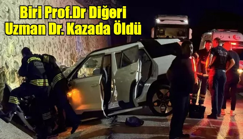 Biri Prof.Dr Diğeri Uzman Dr. Kazada Öldü