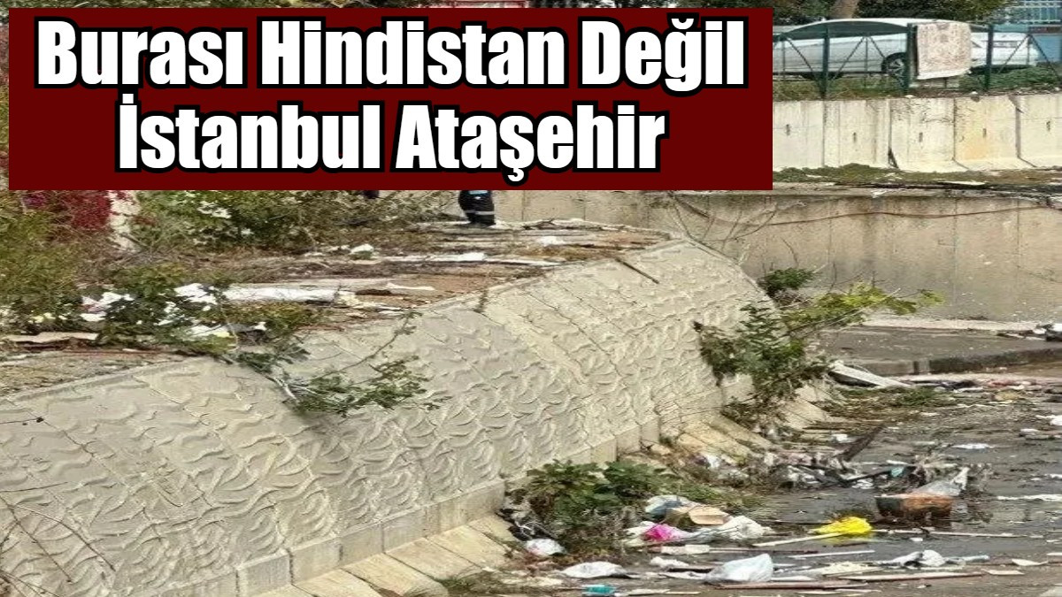 Burası Hindistan Değil İstanbul Ataşehir