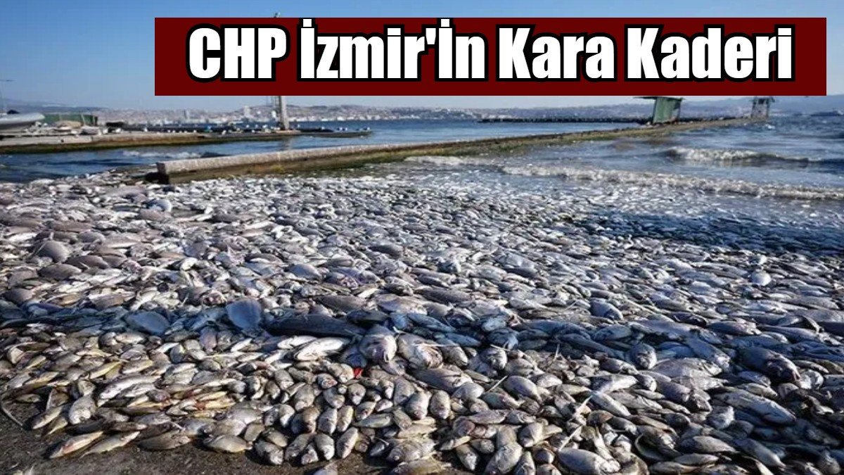 CHP İzmir'İn Kara Kaderi