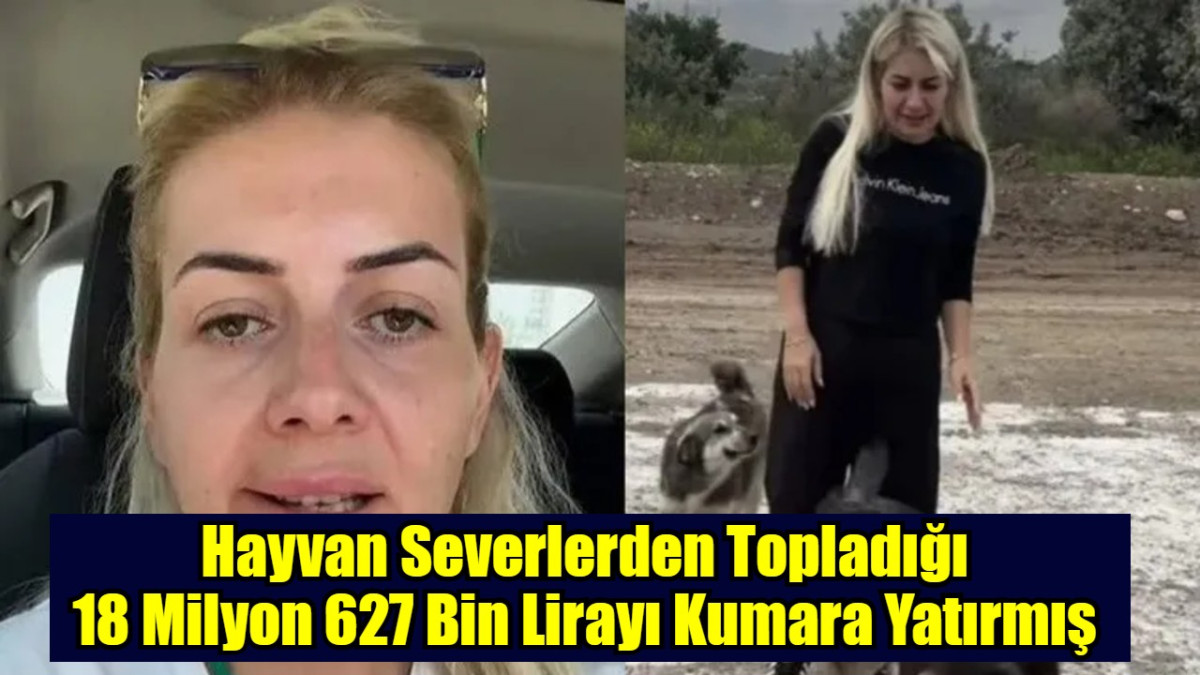 Hayvan Severlerden Topladığı  18 Milyon 627 Bin Lirayı Kumara Yatırmış 