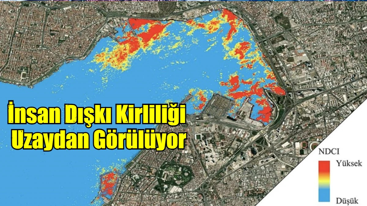 İnsan Dışkı Kirliliği  Uzaydan Görülüyor