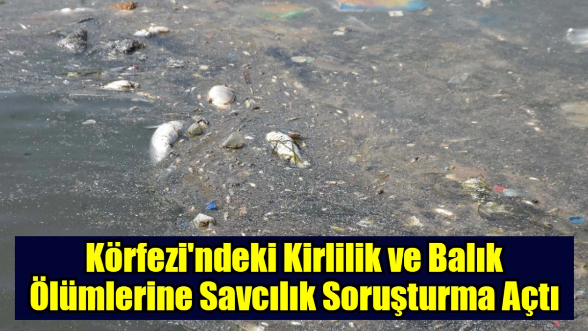 Körfezi'ndeki Kirlilik ve Balık Ölümlerine Savcılık Soruşturma Açtı