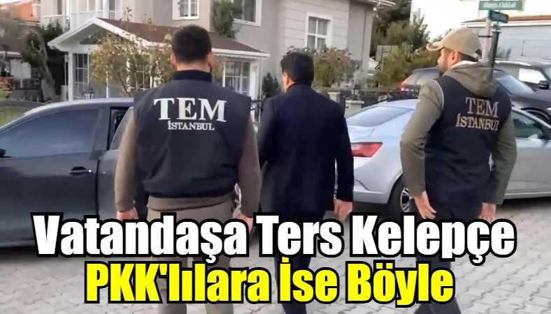 PKK'ya Böyle : Normal Vatandaşın Boynunu Eğer Ters Kelepce Yaparlar. 