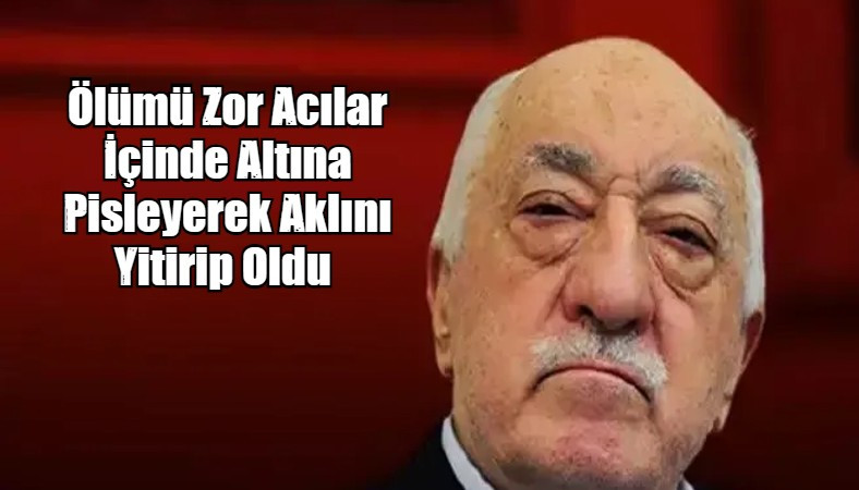 Ölümü Zor Acılar İçinde Altına Pisleyerek Aklını Yitirip Oldu 