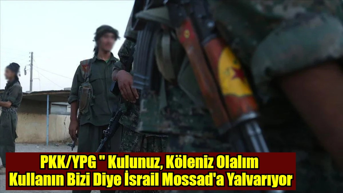 PKK/YPG 