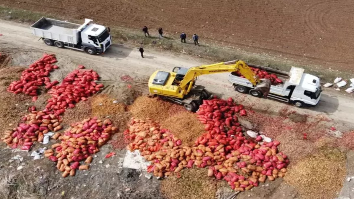 Sebze Meyveleri Çöpe Döken Stokculuk Yapanlara 17 Milyon Ceza Var