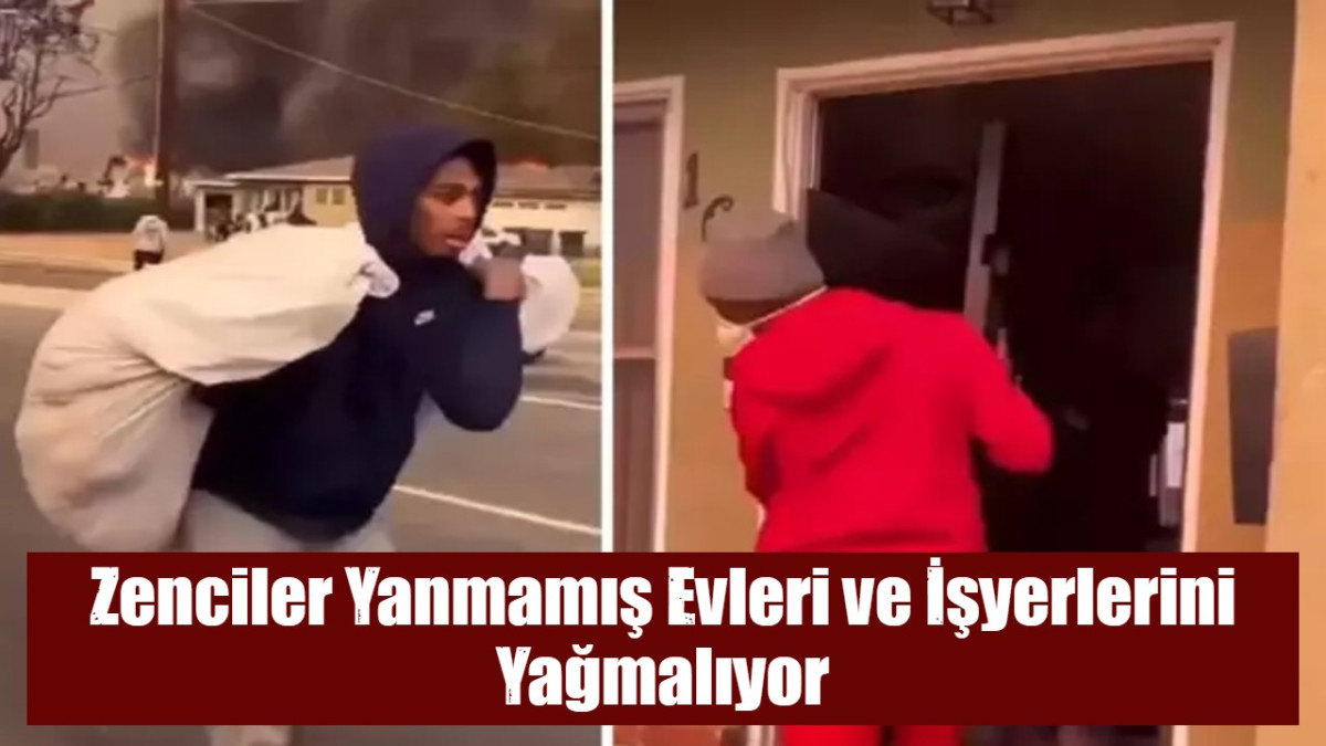 Zenciler Yanmamış Evleri ve İşyerlerini Yağmalıyor